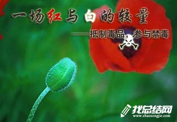 小學(xué)2020年“禁毒宣傳月”活動總結(jié)