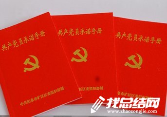 2020年黨員學(xué)習(xí)工作總結(jié)范文